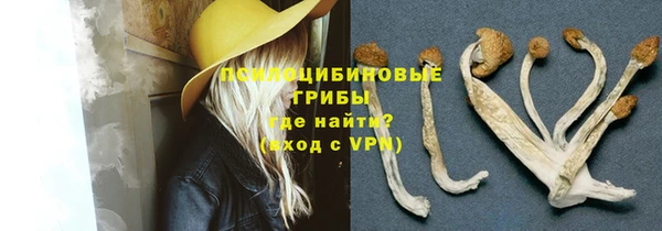 бошки Аркадак