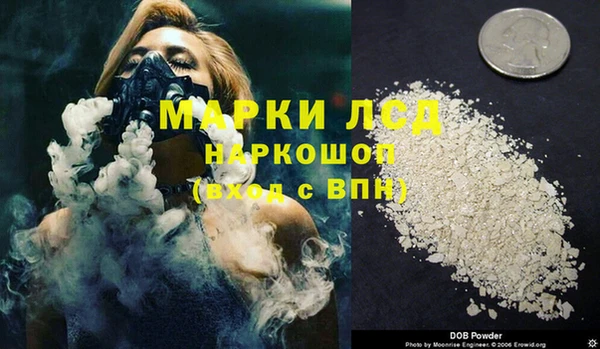 бошки Аркадак
