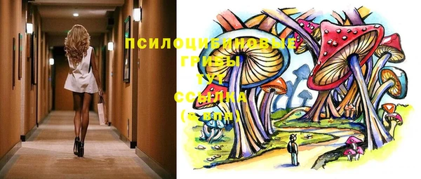 бошки Аркадак
