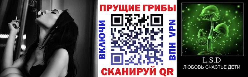 закладка  Новый Оскол  Псилоцибиновые грибы мухоморы 