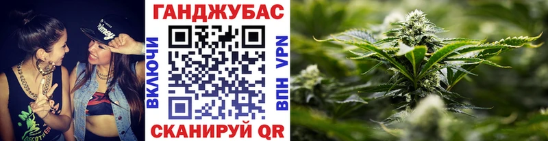 МЕГА зеркало  сайты даркнета телеграм  Канабис план  Новый Оскол 